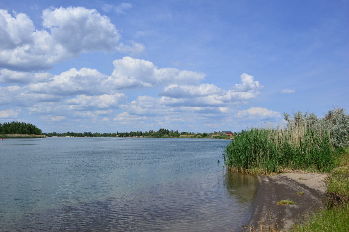 Дон. - Виктор 