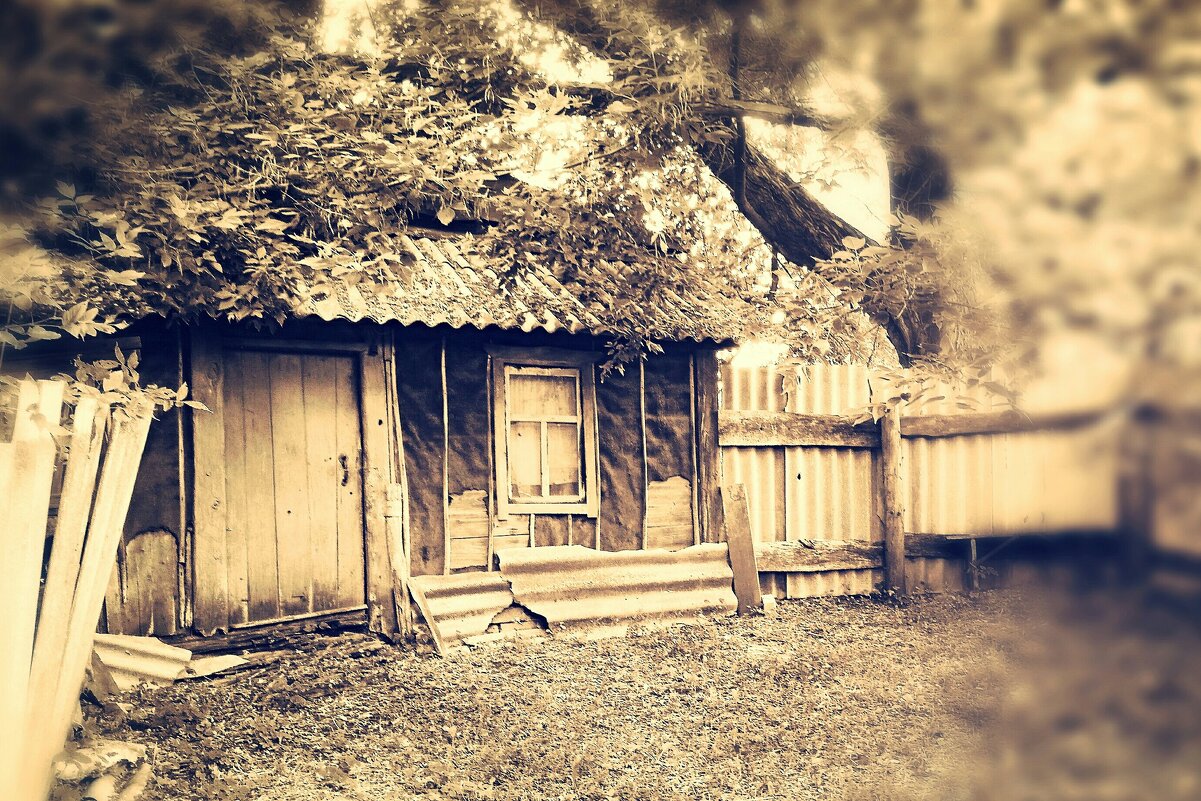 ... ... - Руслан 