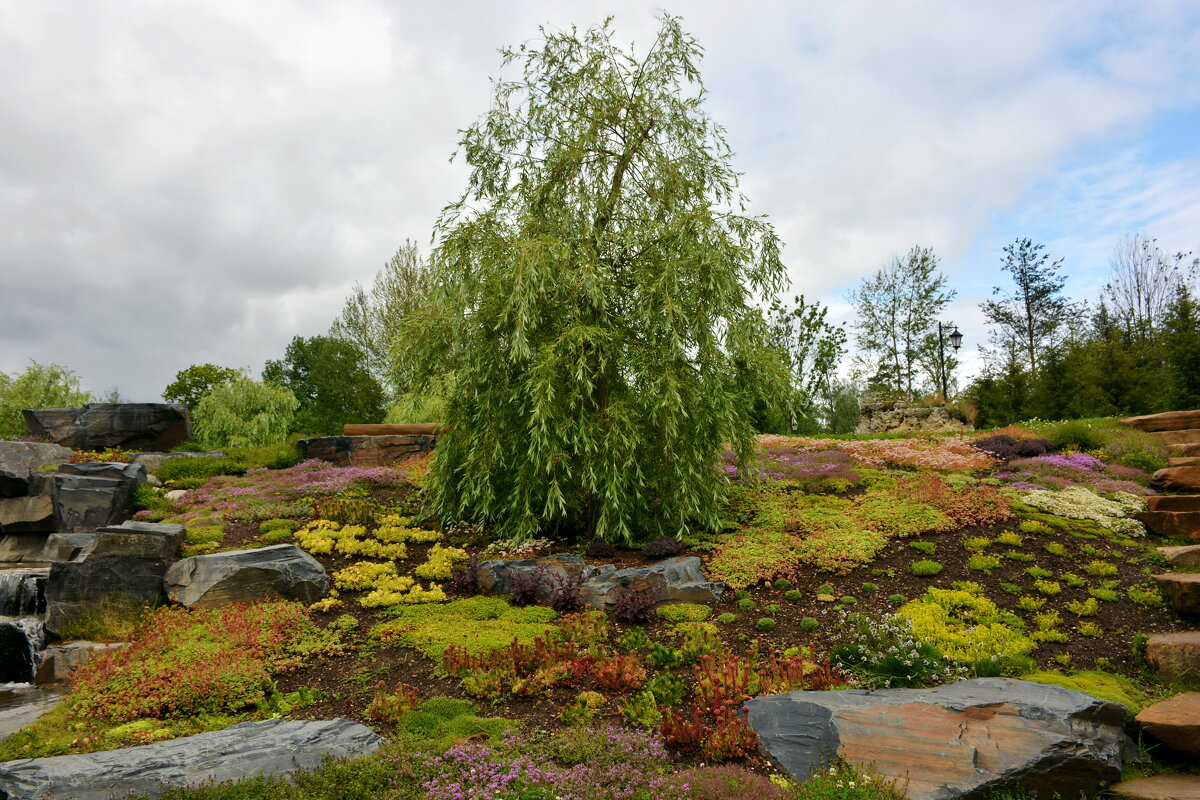 Пейзажи парка "Ближняя дача". - Леонид Иванчук Пейзажи парка "Ближняя дача". - Леонид Иванчук