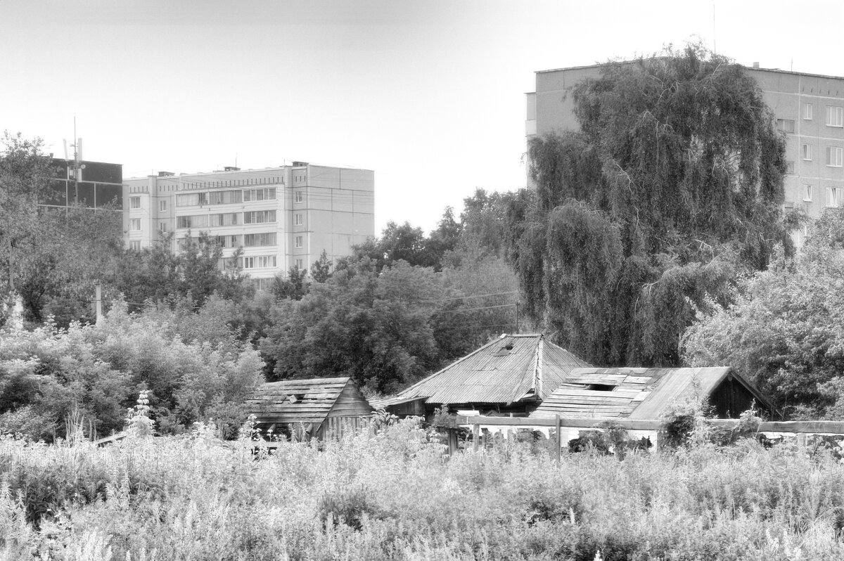 *** - Сергей Сергеев