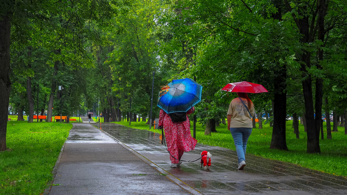 Непогода в Летнем Парке - юрий поляков