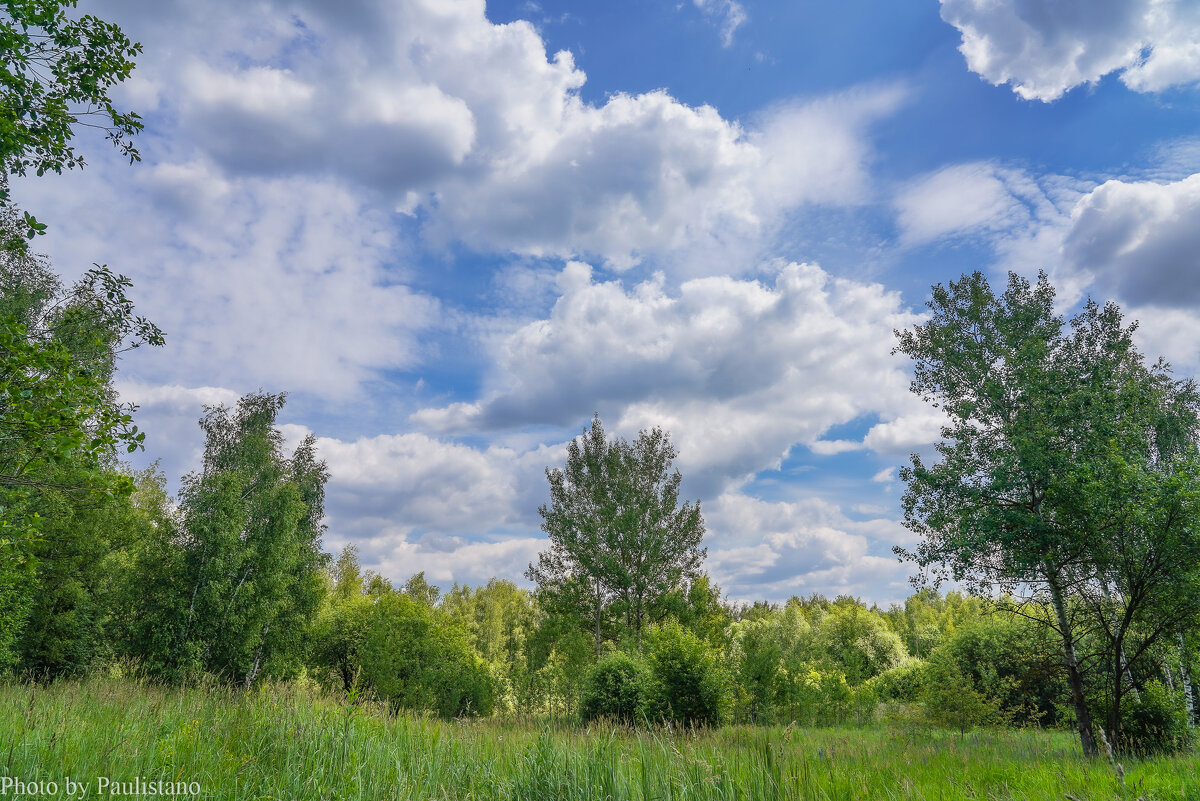 Небо июня... - Владимир Жданов