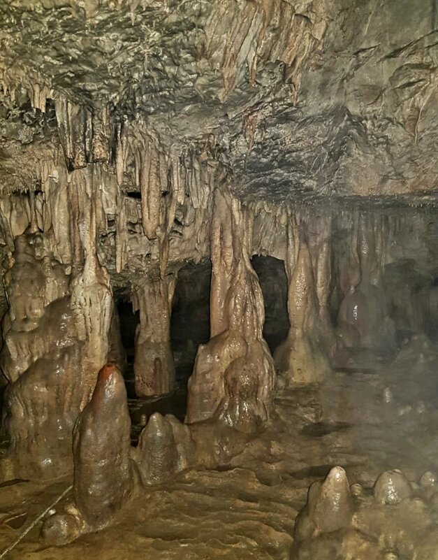 Пещера «НЕЖНАЯ» - Tata Wolf