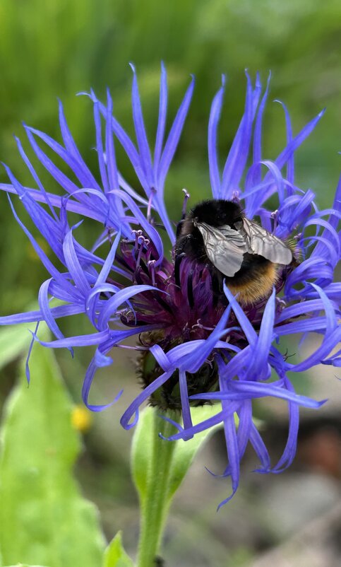 Весь в работе…) - VADIM *****
