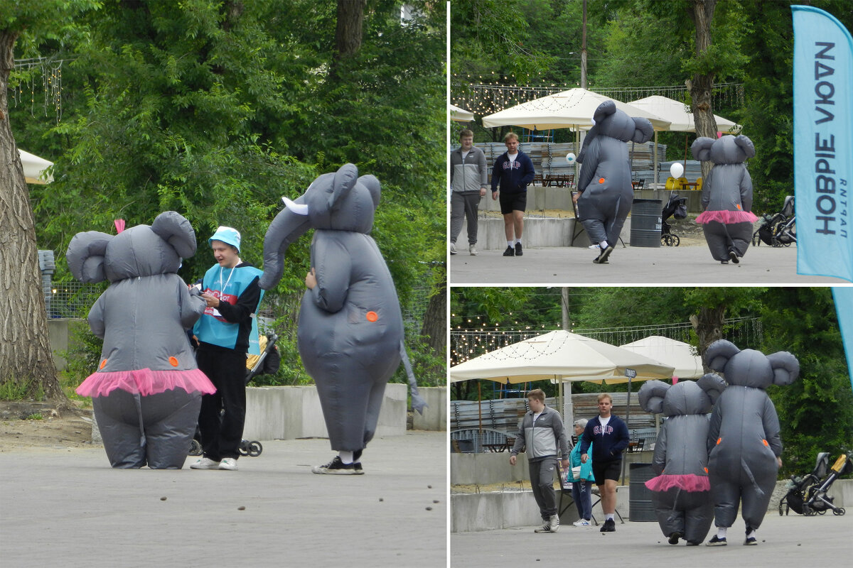 слоны в городе - Лера 