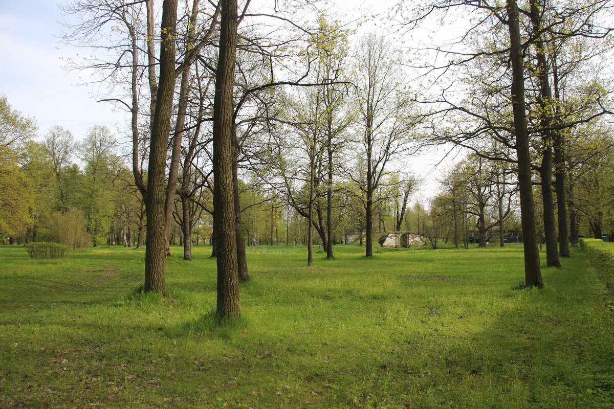 Орловский парк - Наталья Герасимова