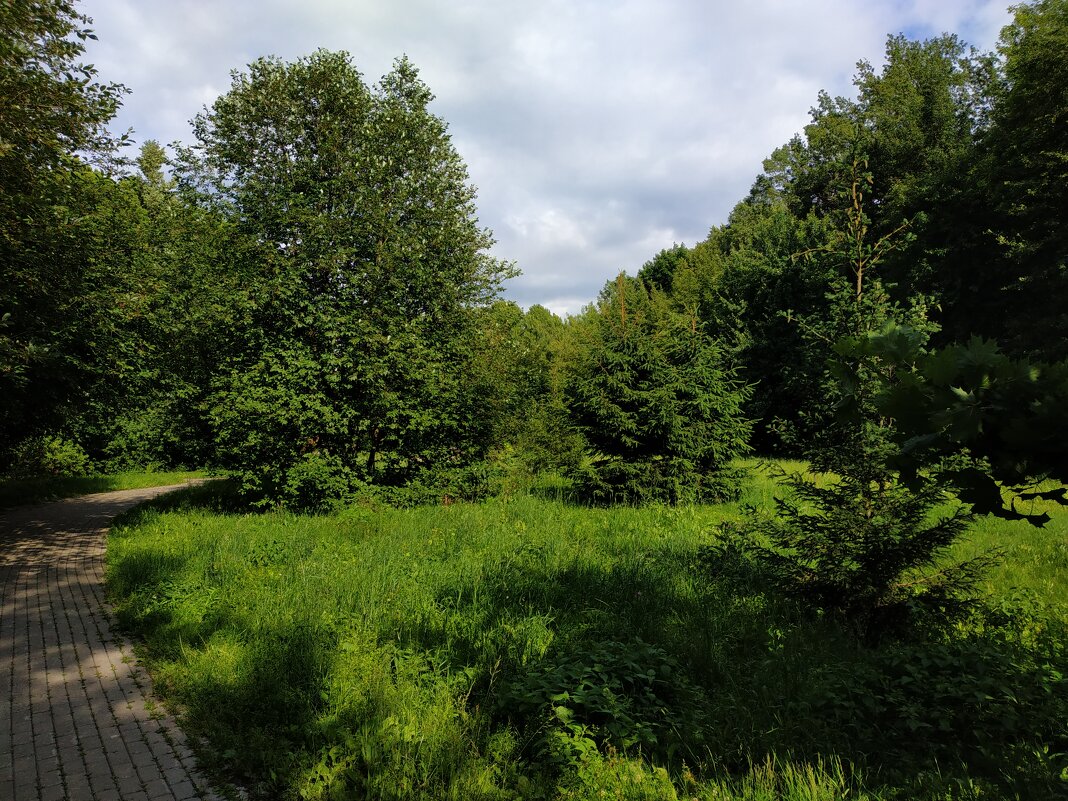 Из недопоказанного - Андрей Лукьянов