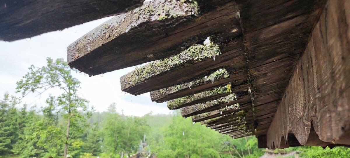 Летний дождь - Алексей Лукаев