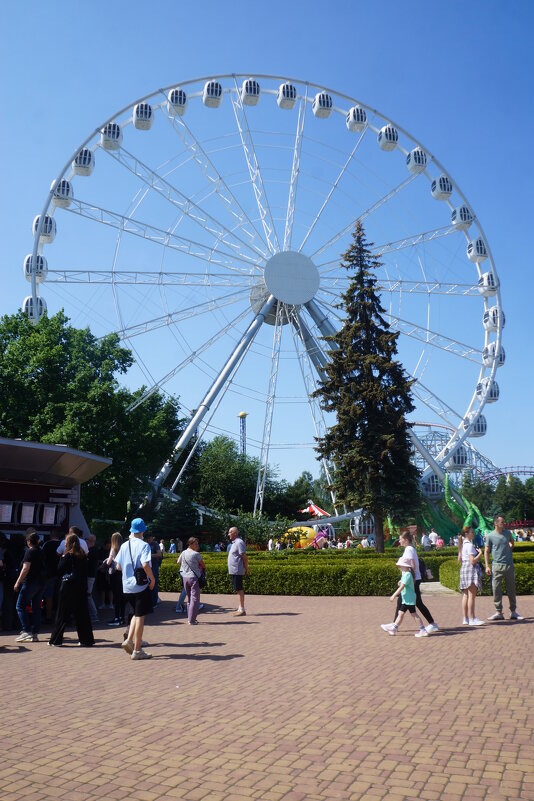 колесо обозрения - zavitok *