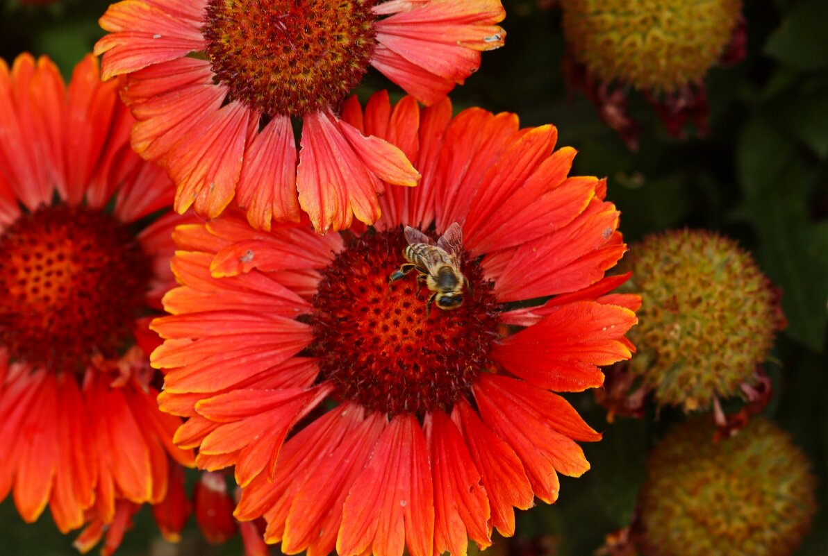 Доброе утро - Юрий. Шмаков