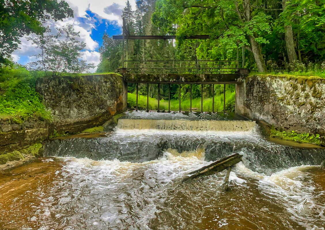 Vaives dzirnavas 290625m - Arturs Ancans