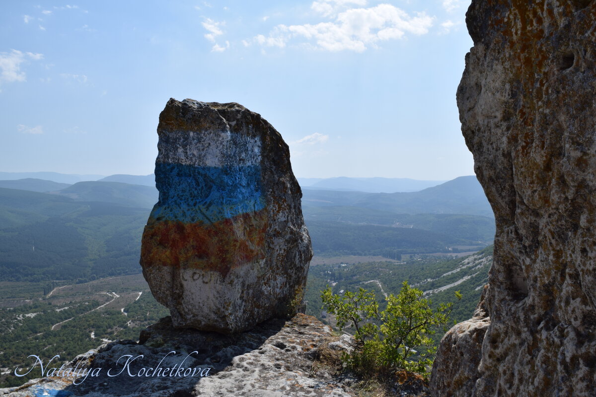 Природа Крыма - Amazing Cosmea
