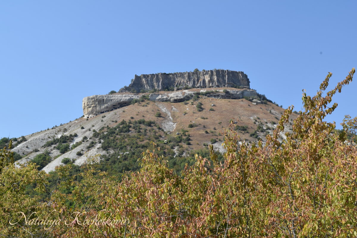 Природа Крыма - Amazing Cosmea