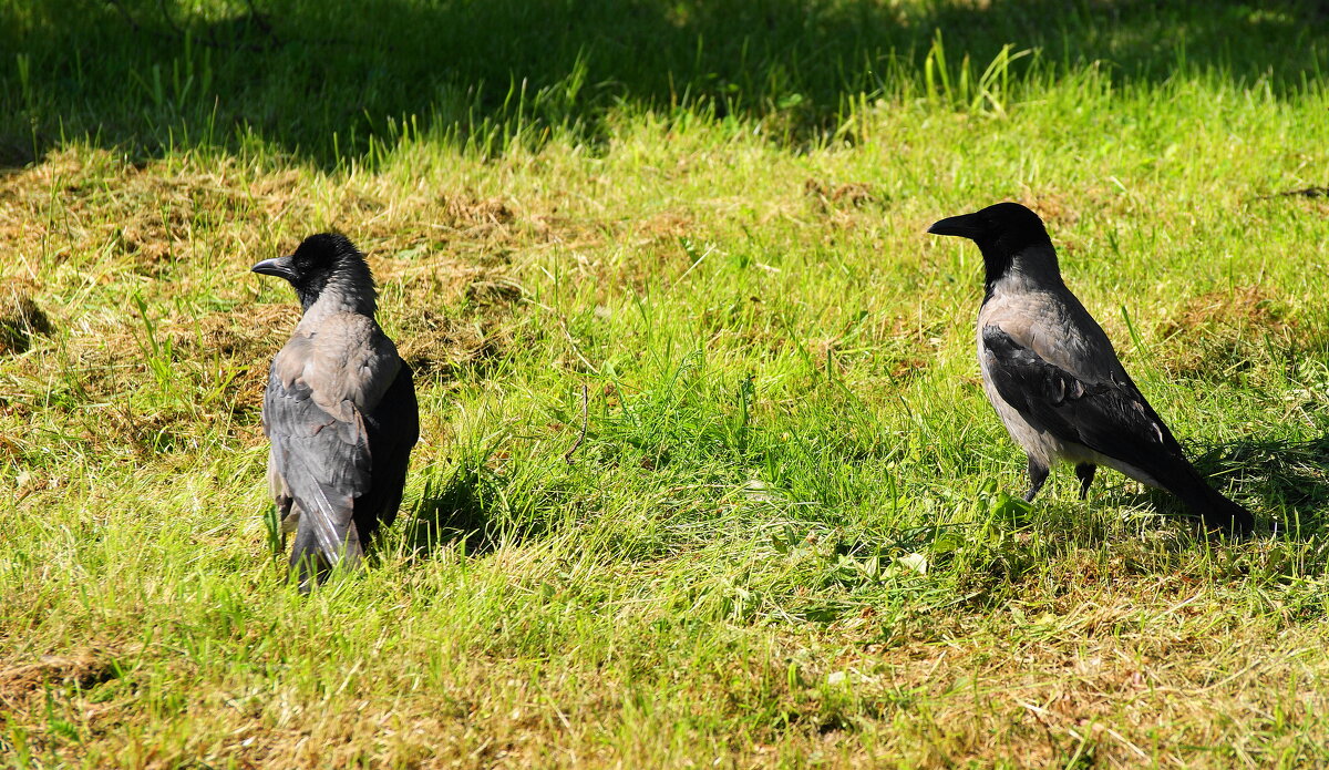 И ЧТО ТАМ ? - Виктор Никитенко