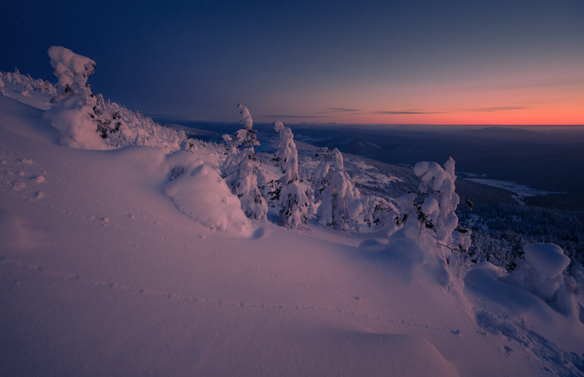 * - Александр Иванов * - Александр Иванов