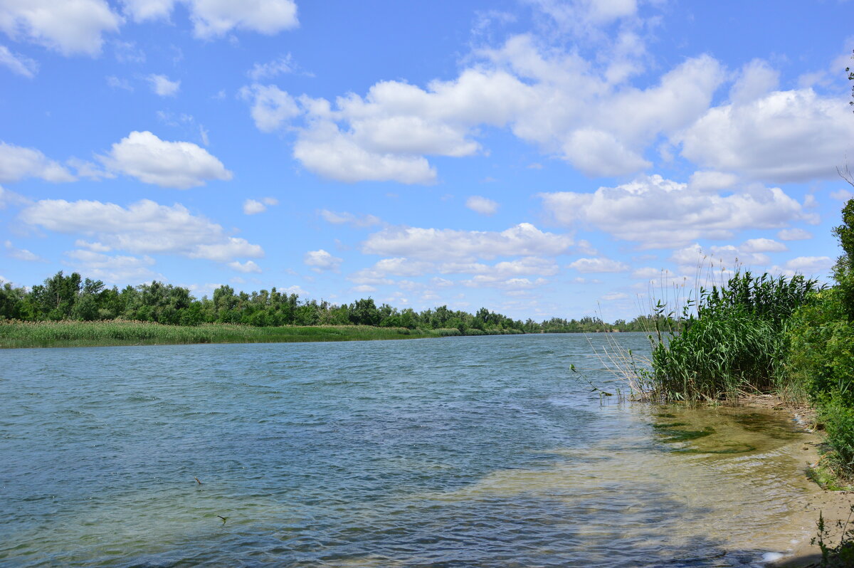 Местная река. - Виктор 