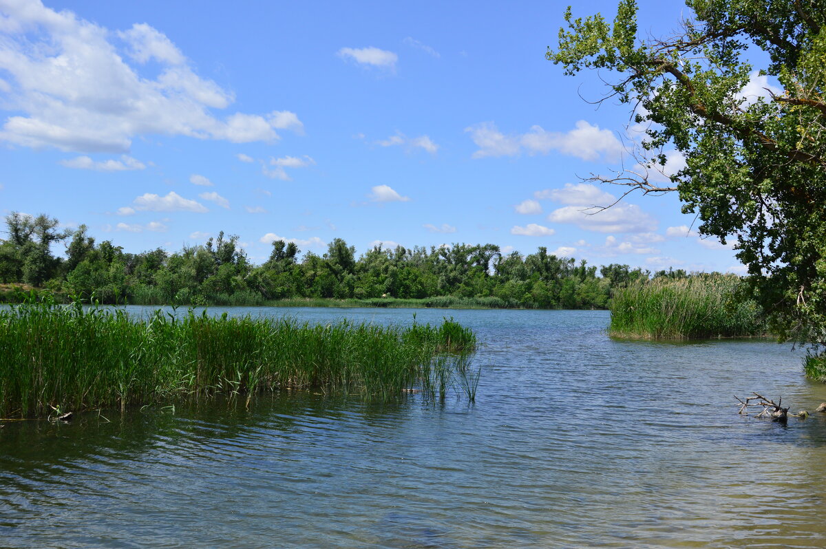 У реки. - Виктор 