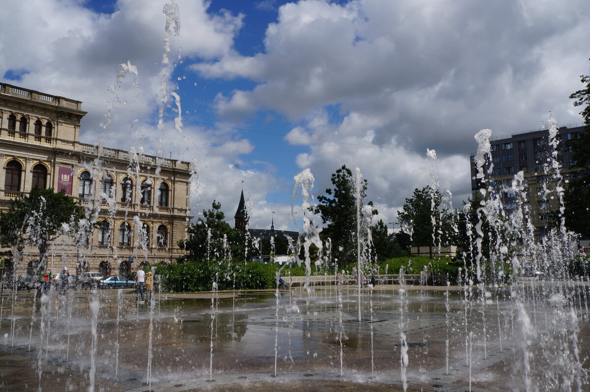 Прогулки по Калининграду..... - Алёна Савина