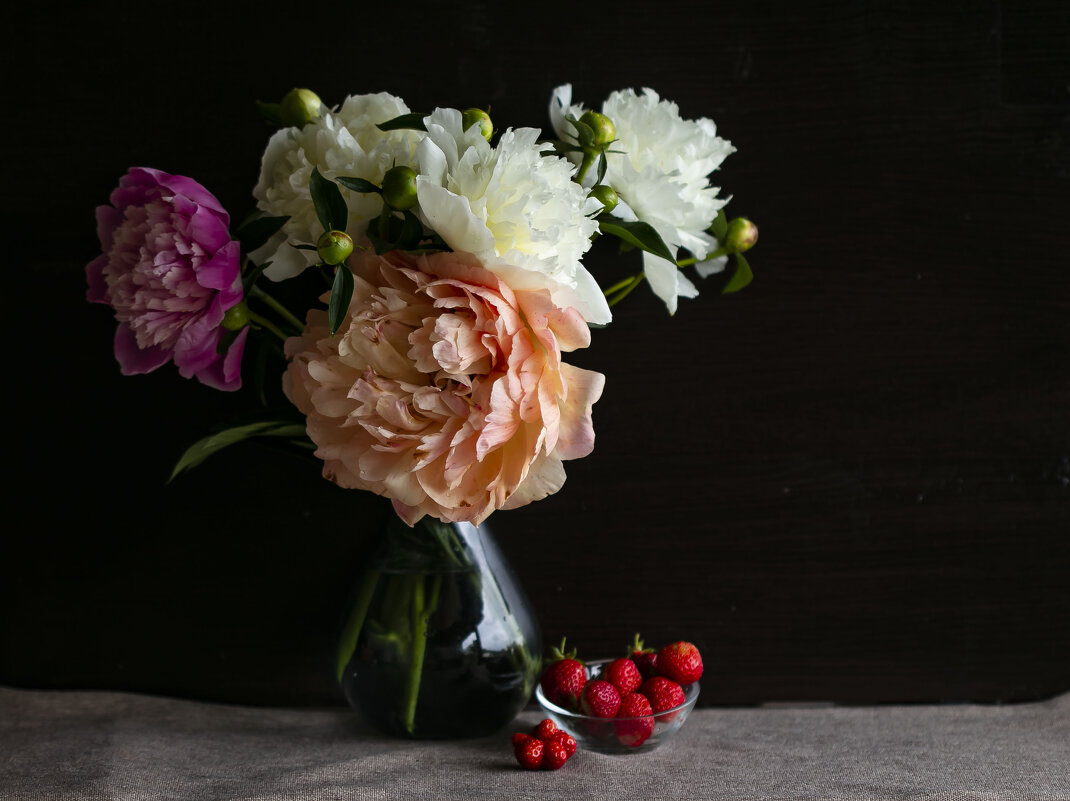 пионы - Наталья Крюкова