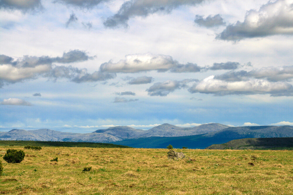 Июнь на плато Кваркуш - Галина Ильясова Июнь на плато Кваркуш - Галина Ильясова