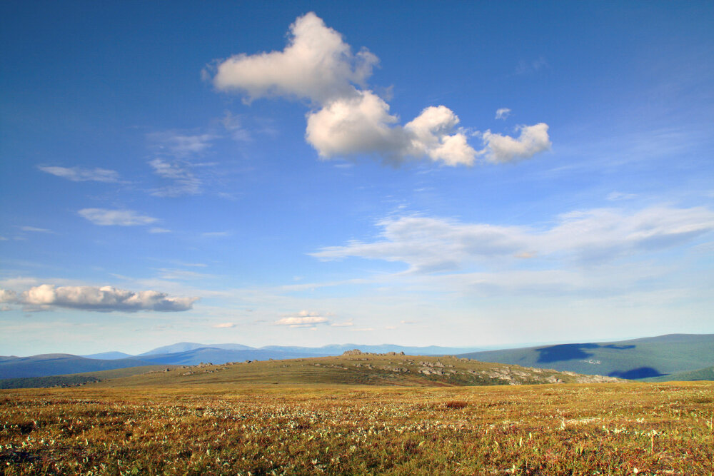 Хорошая погода установилась... - Галина Ильясова
