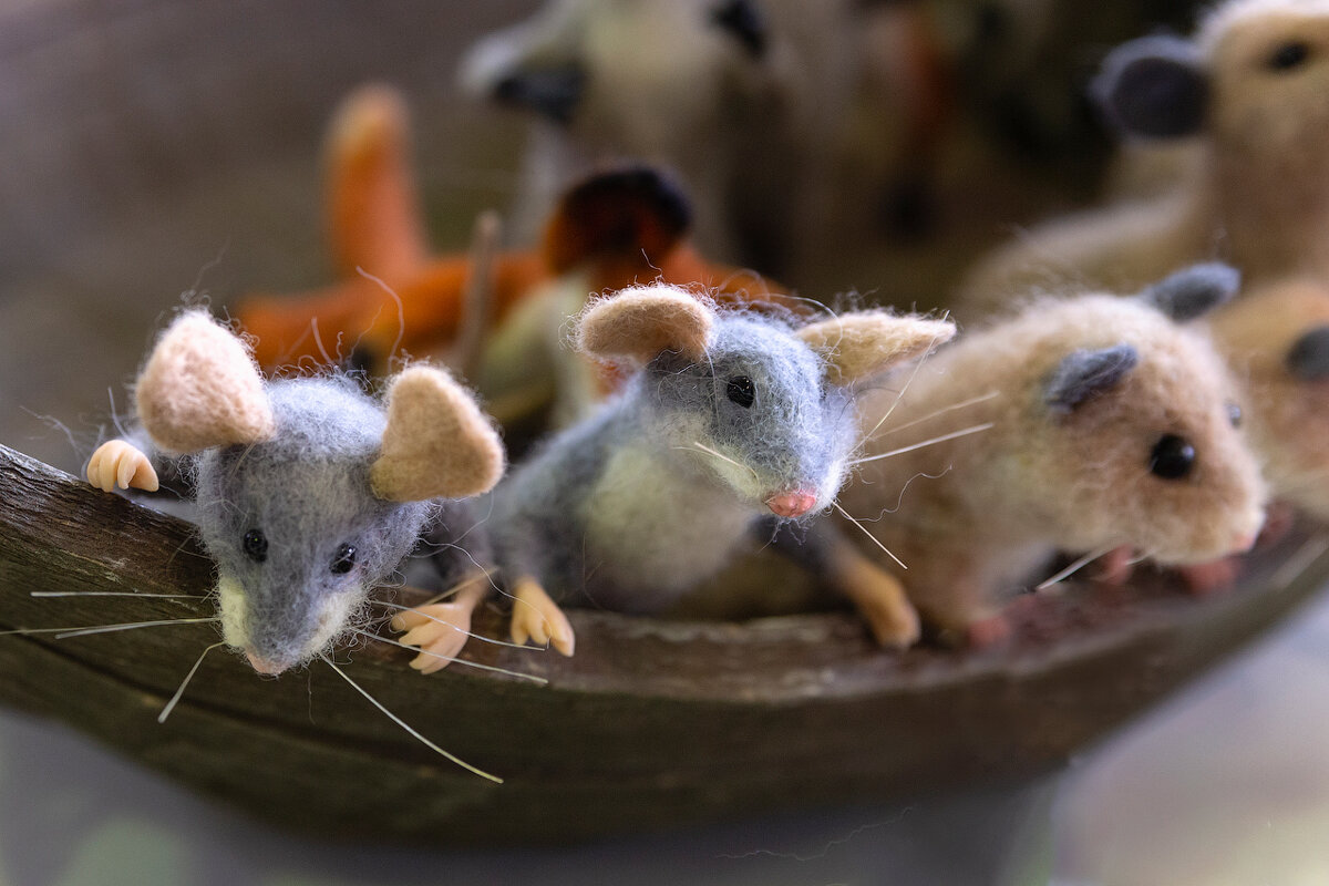 Бал кукол в Самаре. 29.06.25 - Олег Манаенков Бал кукол в Самаре. 29.06.25 - Олег Манаенков