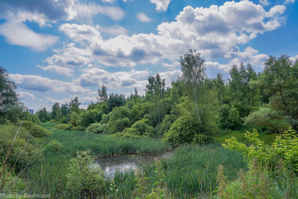 Конец июня... - Владимир Жданов