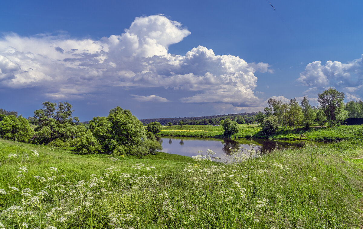Летний день - Владимир Езеров Летний день - Владимир Езеров