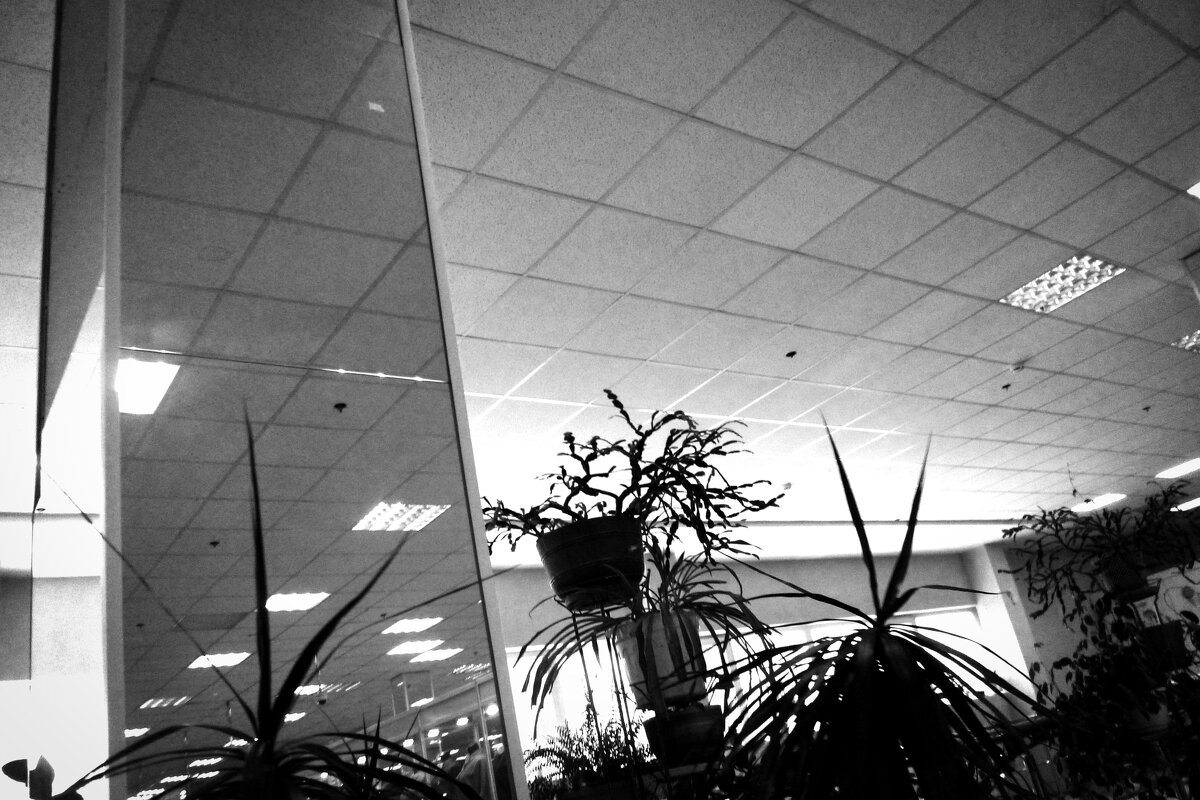 Назва. отсу. - Денис Безногов