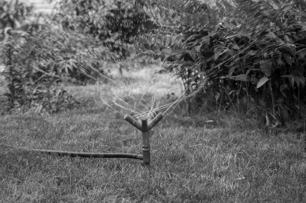 ъ - Константин Сафронов