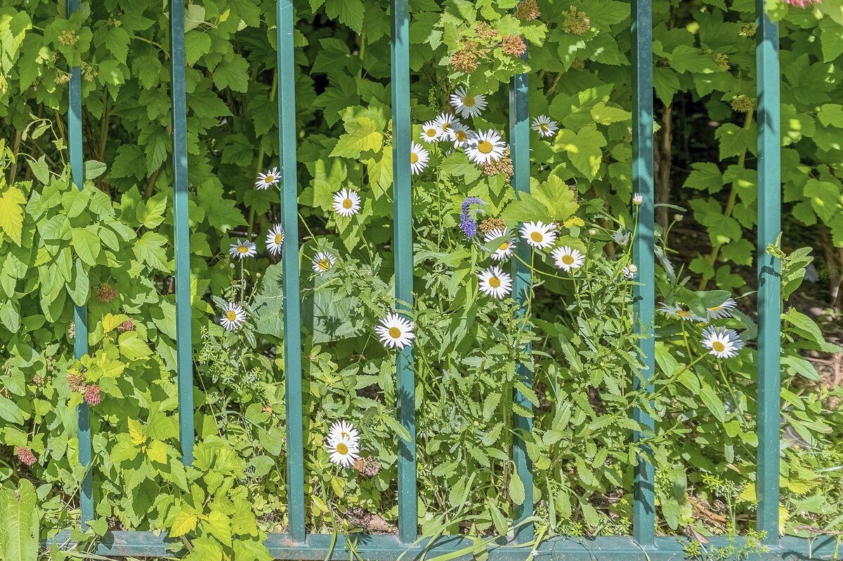 Городские - Валерий Иванович