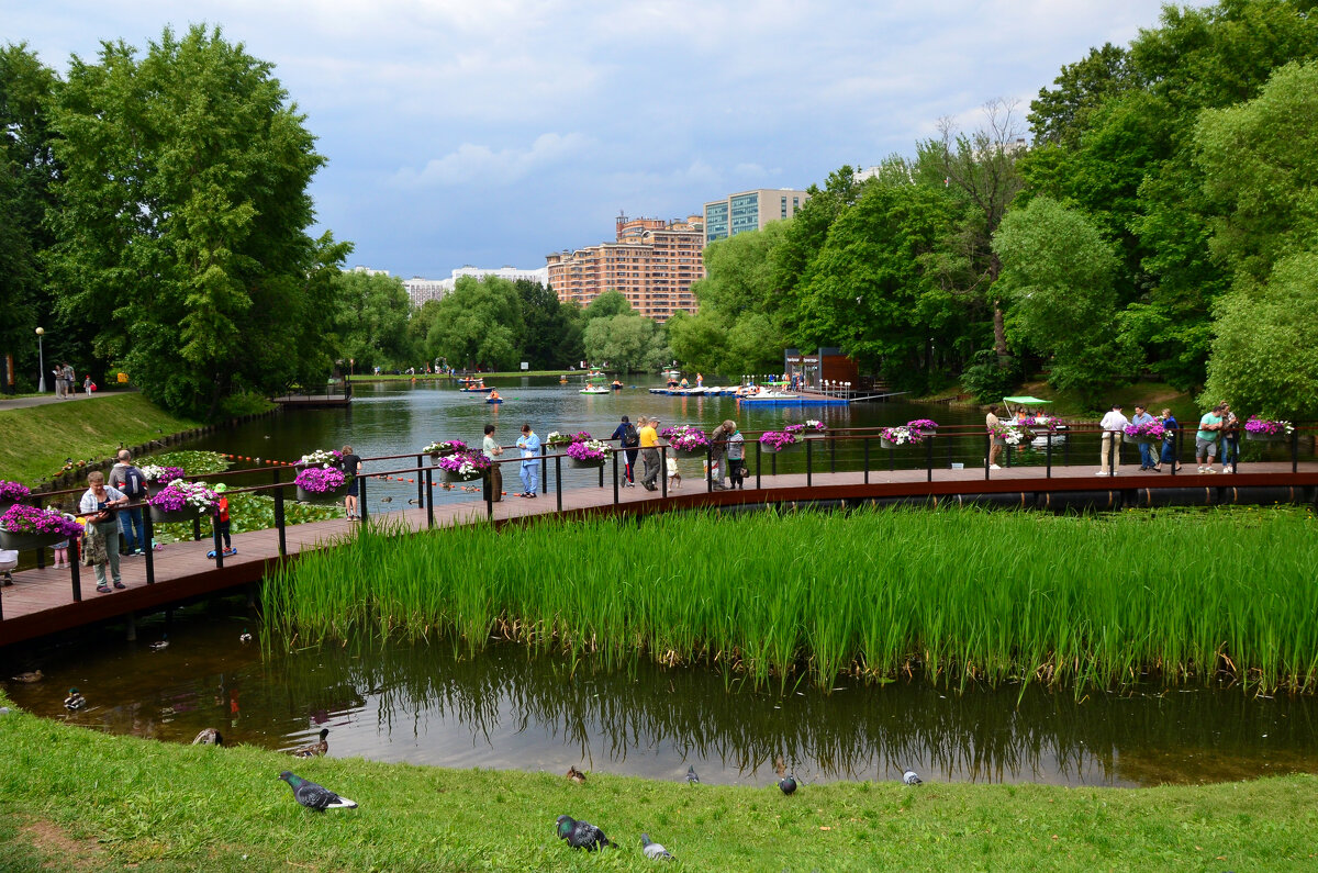 Москва. Воронцовский парк. - Наташа *****
