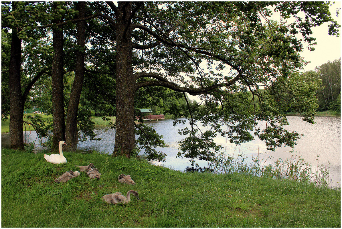 Семейка - Aleksandr Gal