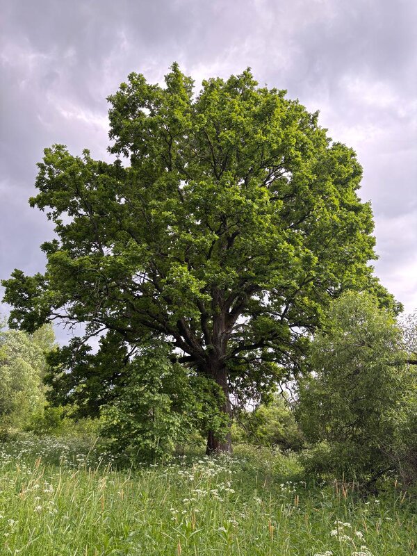 На неведомых дорожках - Алексей Домрин