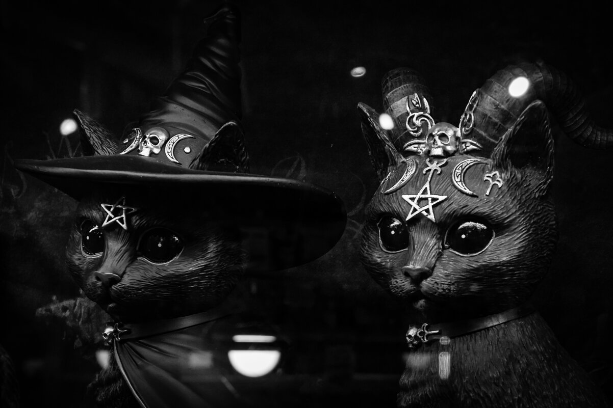 Мрачная парочка - Игорь Викторов