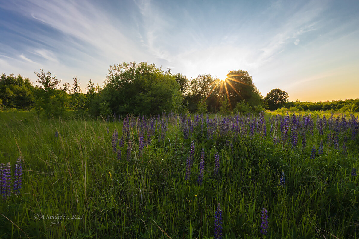 На закате - Александр Синдерёв