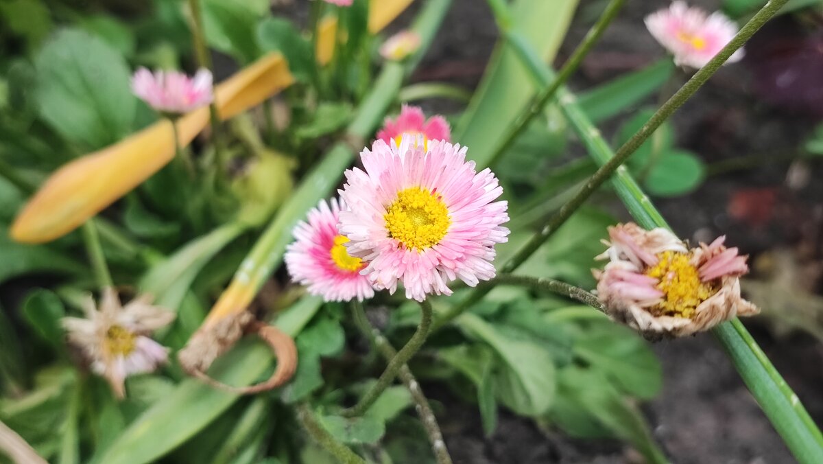 ,,, - Сергей Тимоновский