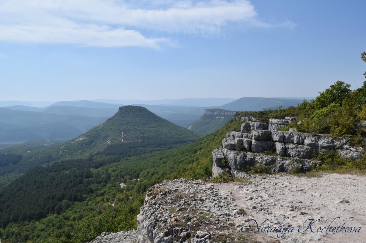 Природа Крыма - Amazing Cosmea