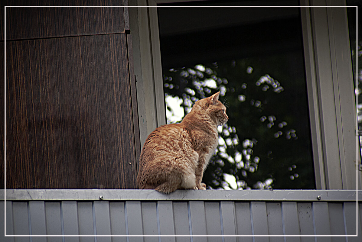 На посту - Владимир Кроливец На посту - Владимир Кроливец