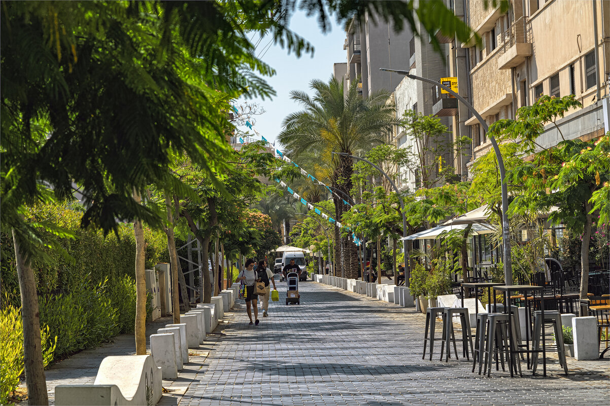 Хайфа *2025 - ujgcvbif 