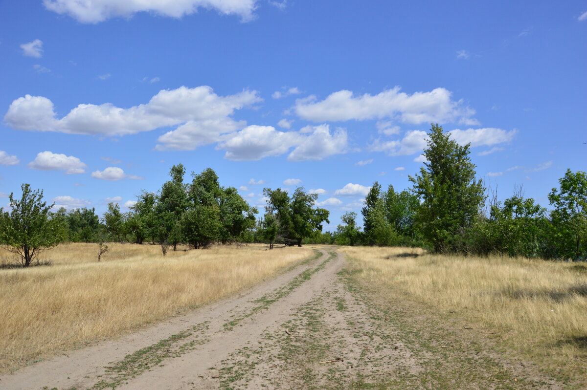 Мои дороги. - Виктор 