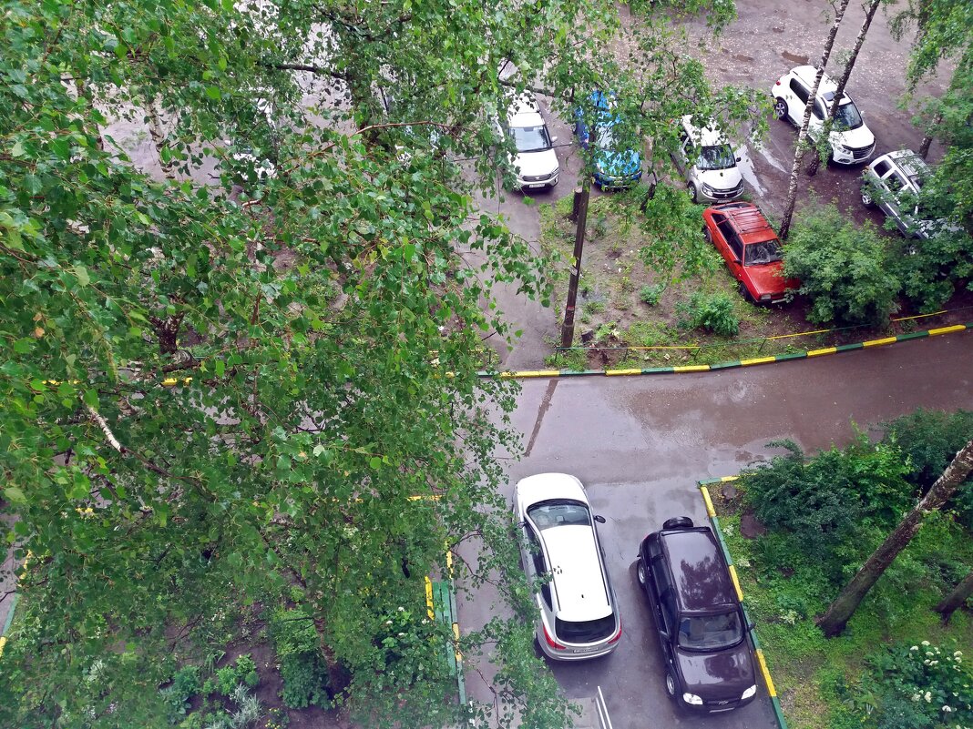 Июль отметился дождём - Galina Solovova