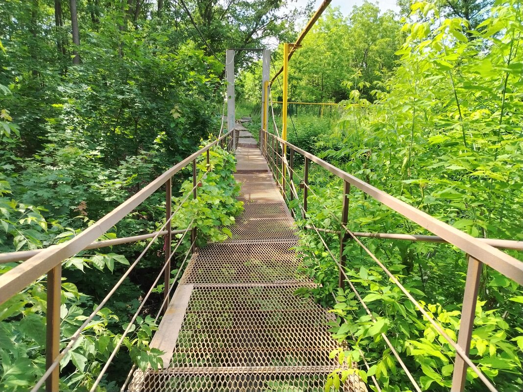 Самарские джунгли - Надежда 