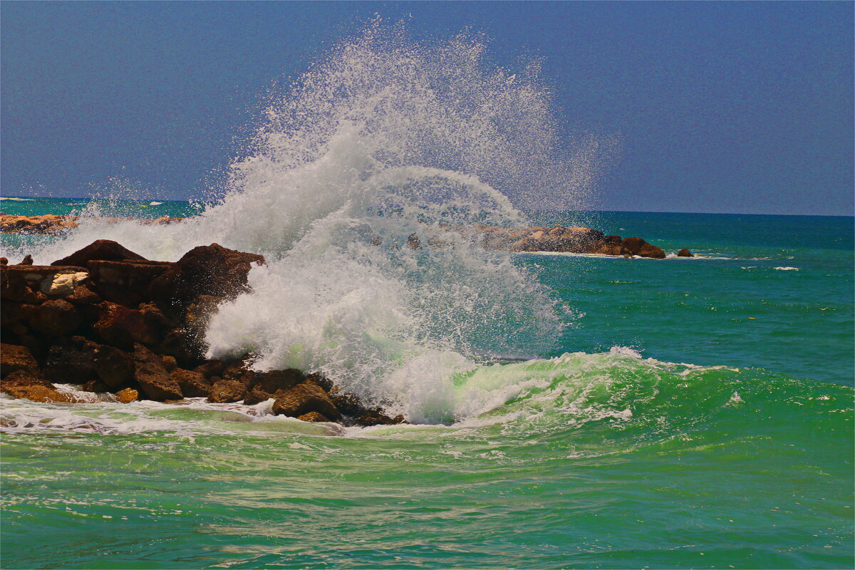 Хайфа 2025 - Владислав Воровский 