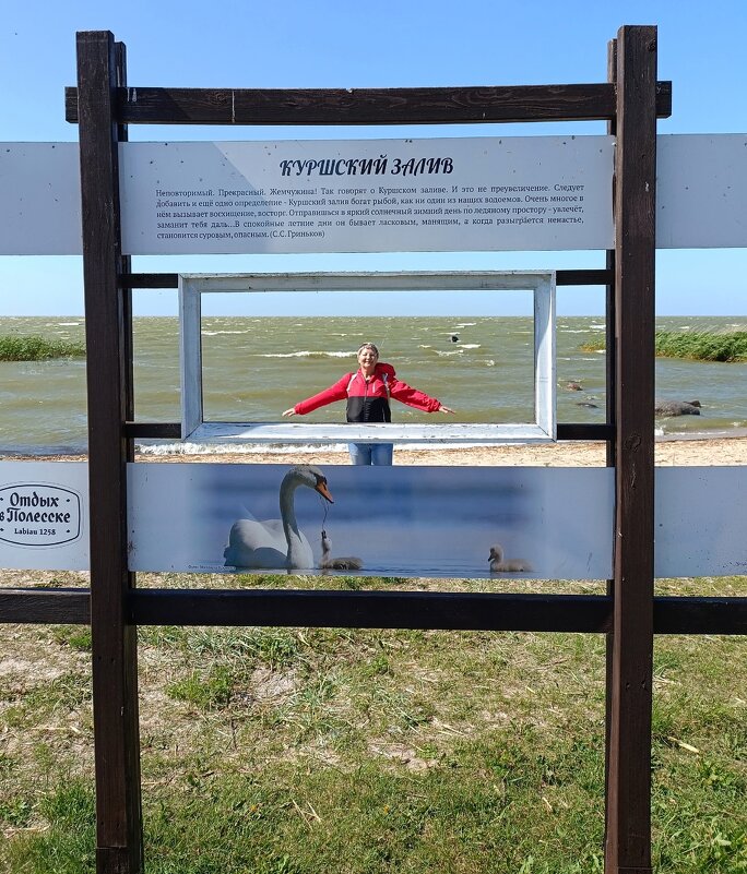 Раскадровка на свежем воздухе - Людмила Жданова