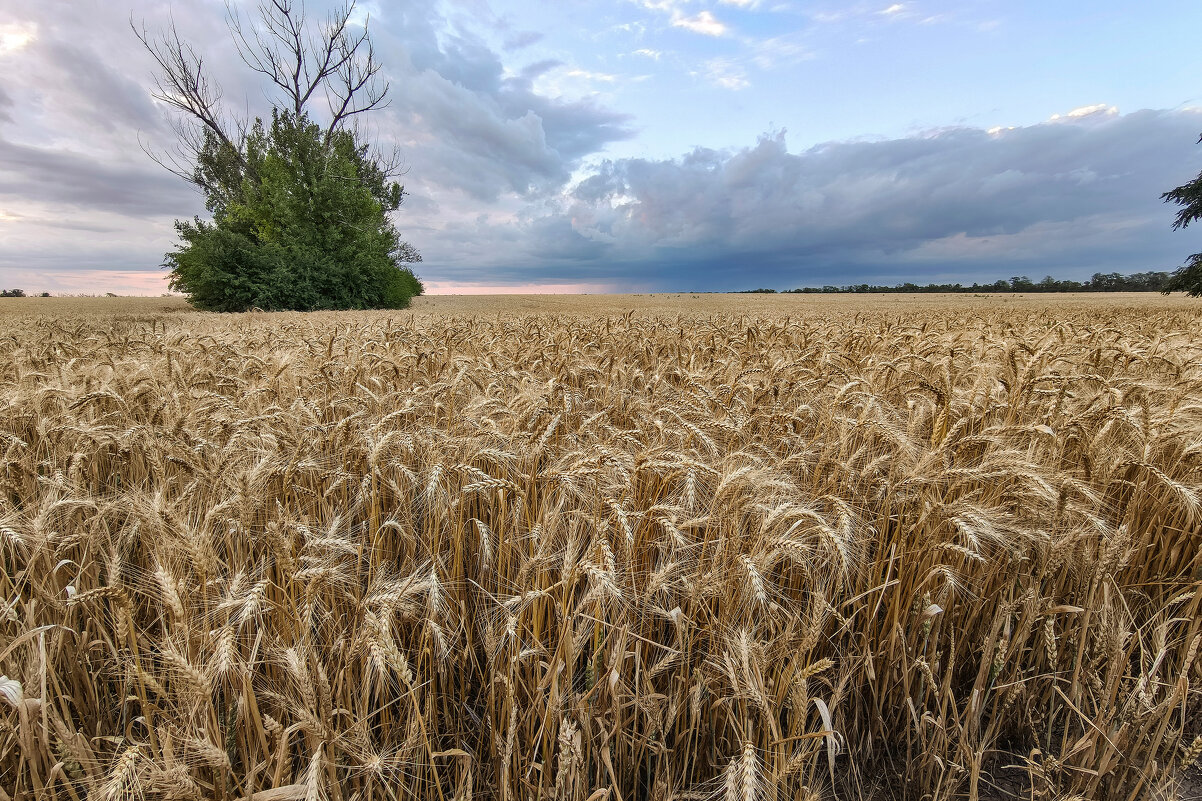 /// - Валерий Ткаченко