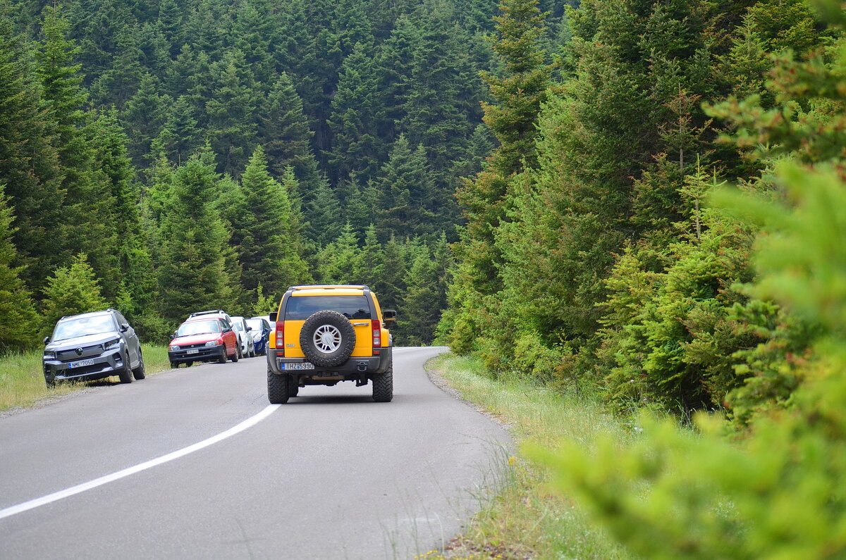 Acropolis Rally 2025, 26 - 29 Ιουνίου - Оля Богданович