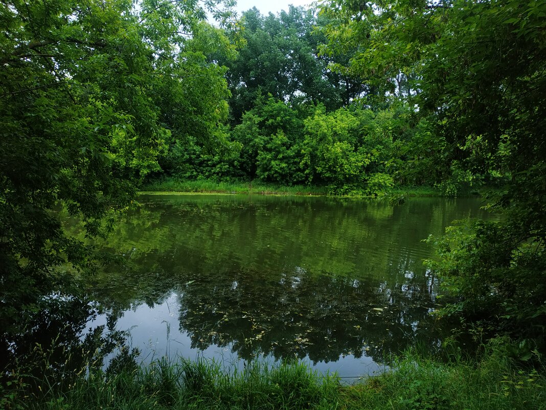 Июль уж наступил! - Андрей Лукьянов