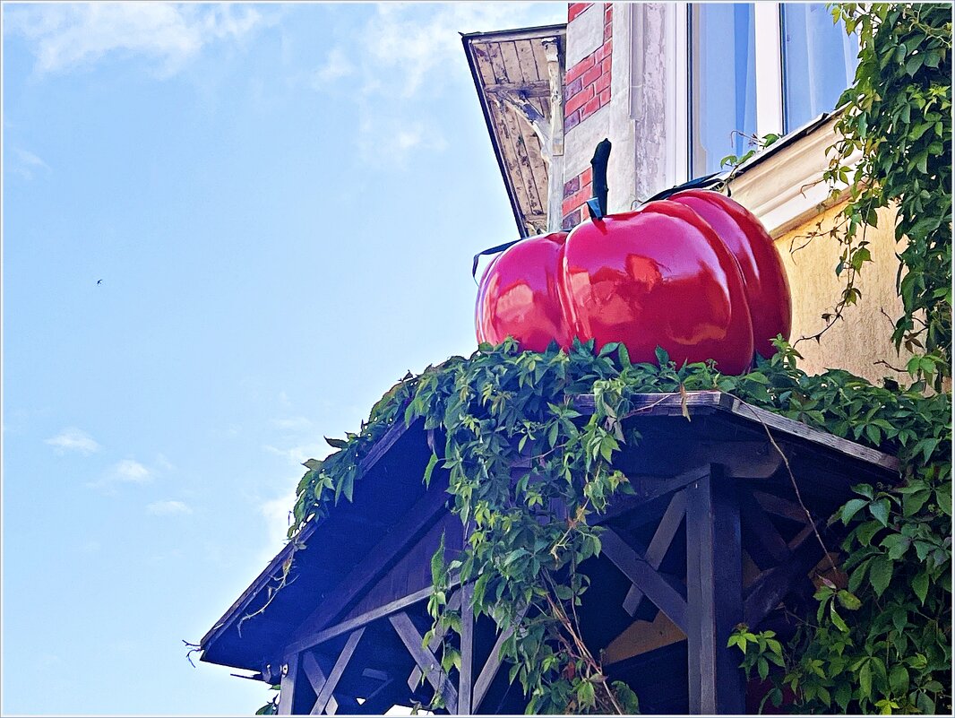 Сеньор помидор - Валерия Комова Сеньор помидор - Валерия Комова