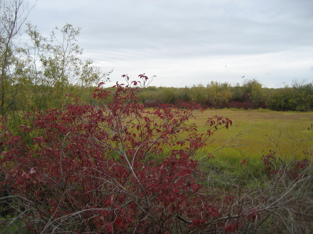 Осень - Anna Ivanova Осень - Anna Ivanova